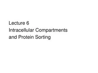 Lecture 6 Intracellular Compartments and Protein Sorting