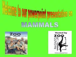 Welcome to our powerpoint presentation on