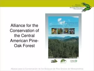 Alliance for the Conservation of the Central American Pine-Oak Forest